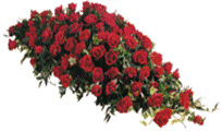Coffin spray floral tribute