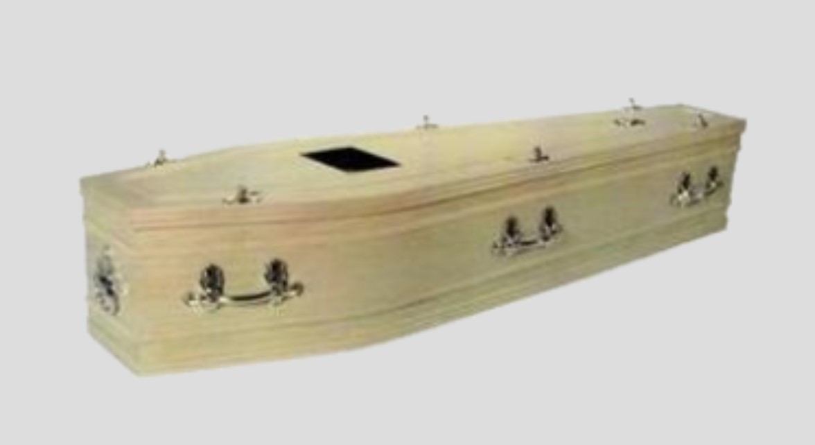 The Milldale coffin